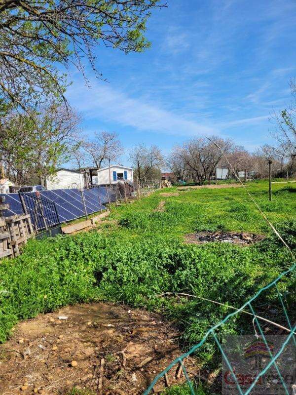 Terrain agricole - photo 3