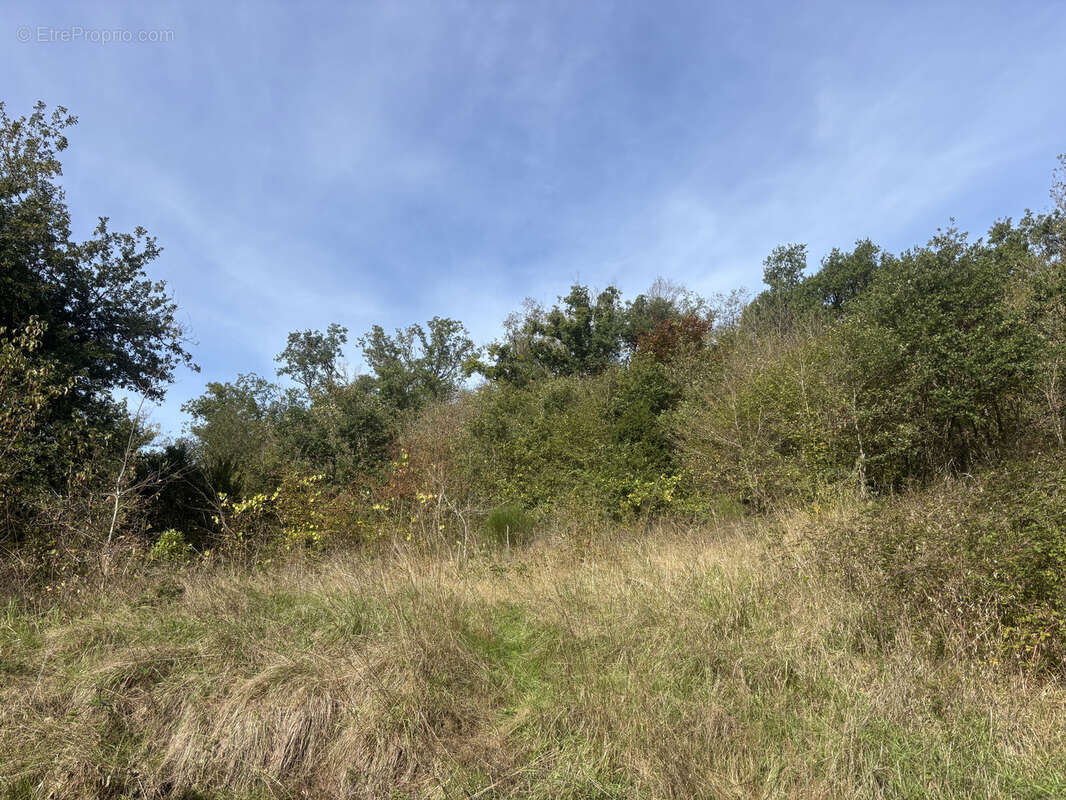 Maison à BELLENAVES