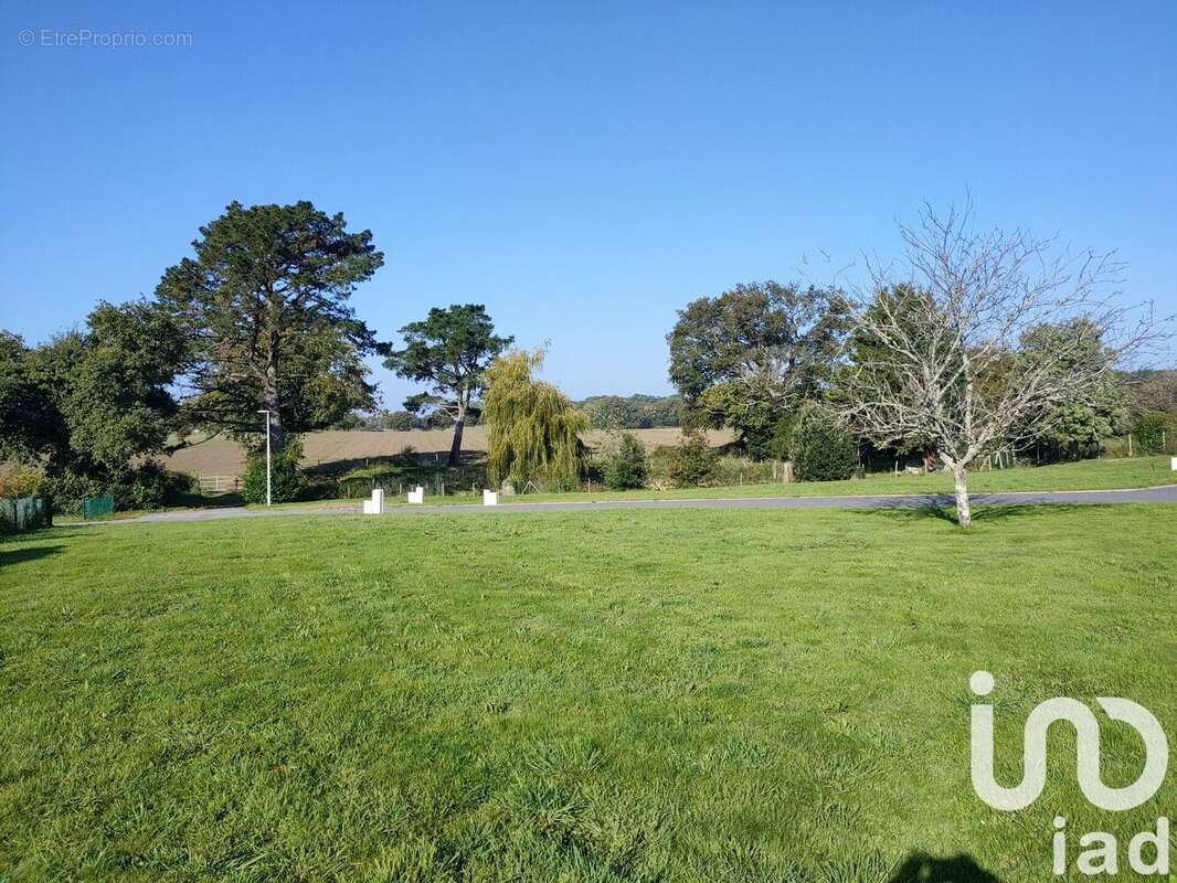 Photo 3 - Terrain à VANNES