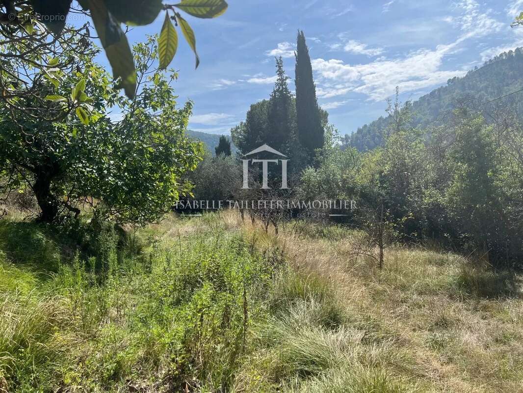 Terrain à L'ESCARENE