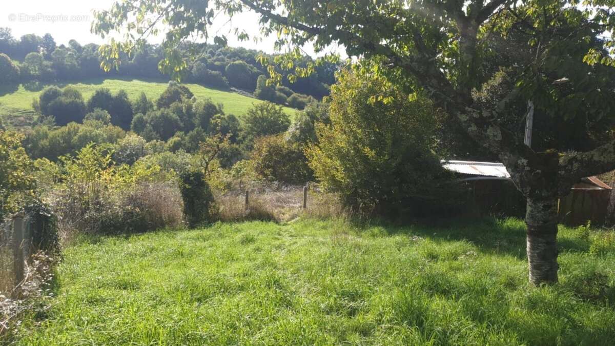 Maison à PIERRE-BUFFIERE