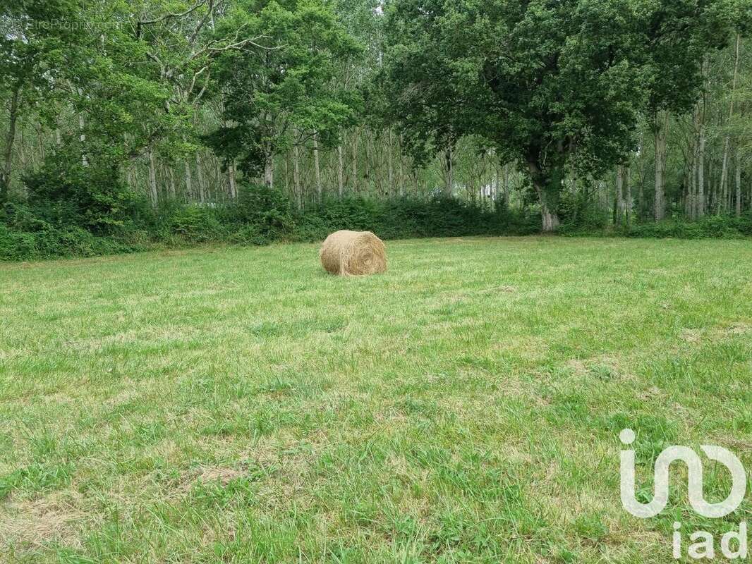 Photo 4 - Terrain à CASTELJALOUX