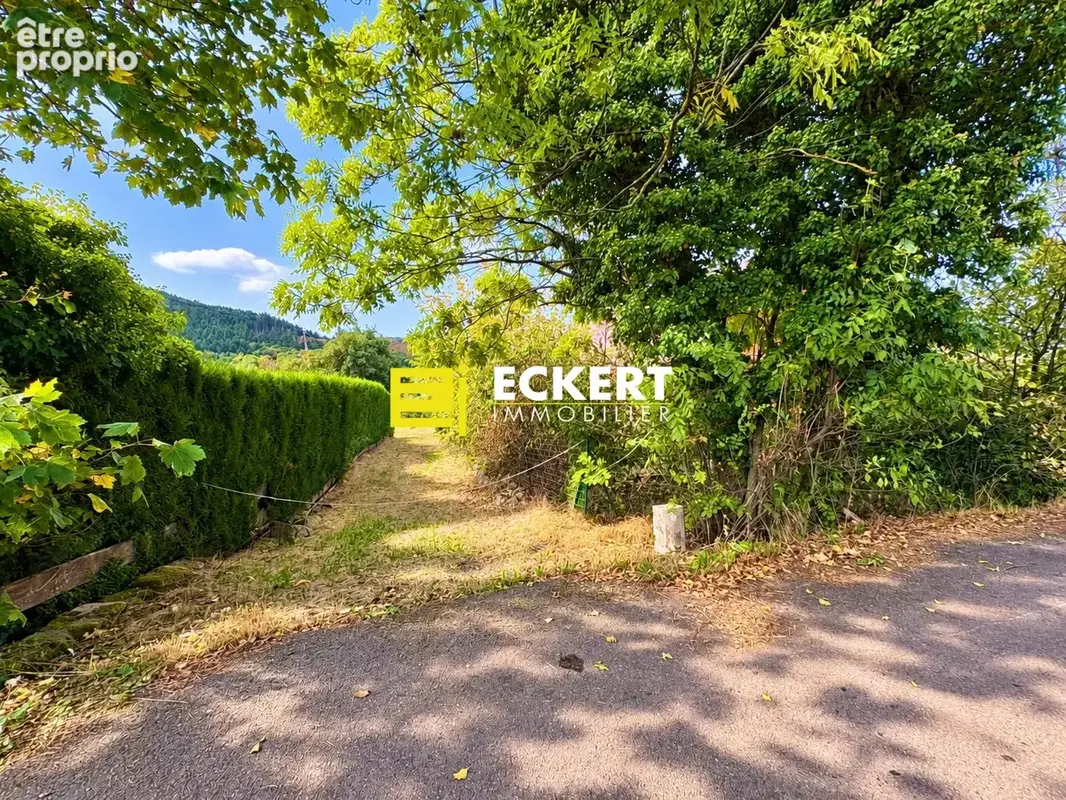 Terrain 2 000 m² à vendre à Grendelbruch (67190) - photo 3