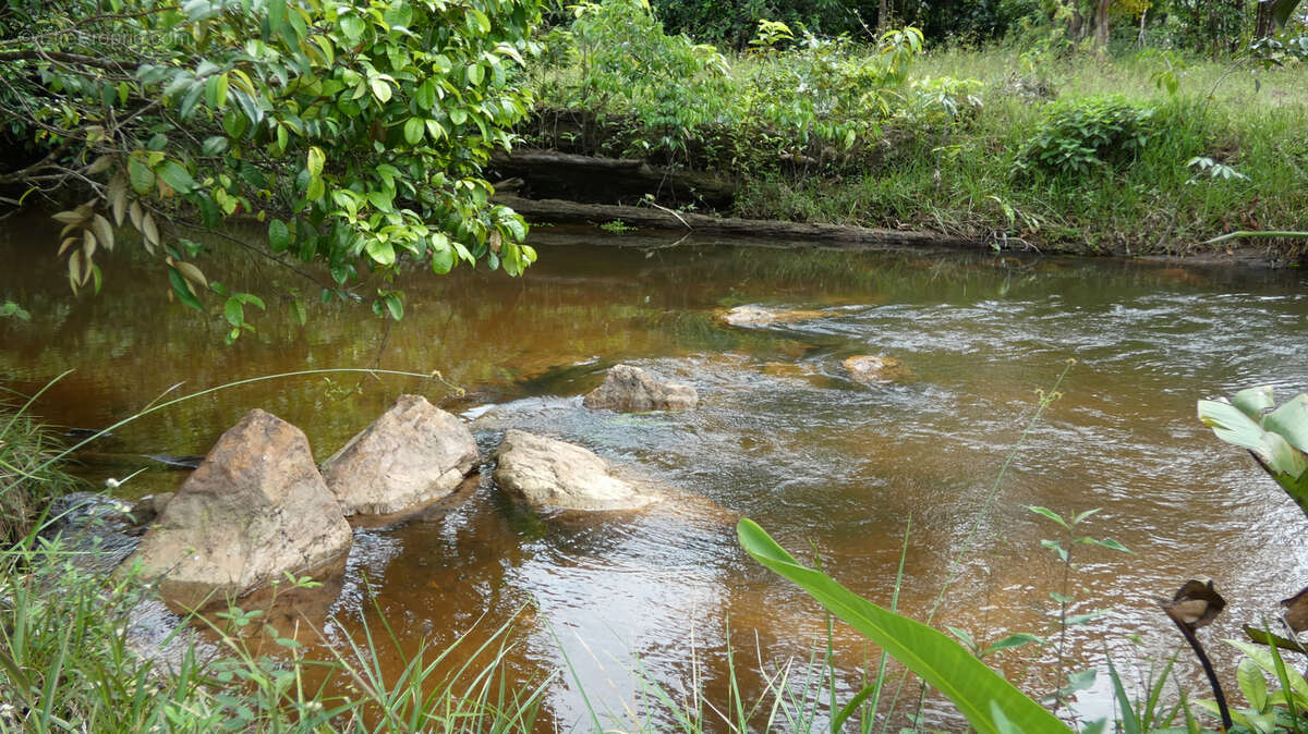 Maison à MONTSINERY-TONNEGRANDE