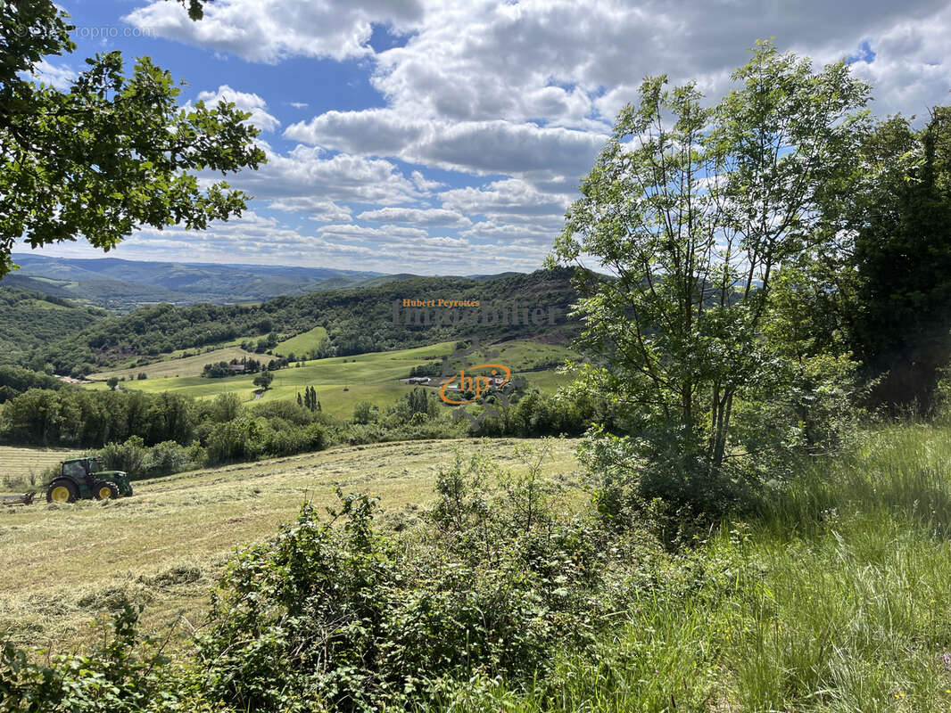 Vente propriété d'exception Saint Affrique Aveyron sur 45 hectares de terrains - photo 34