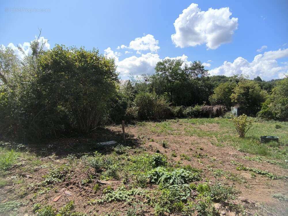 Maison à MONTREUILLON