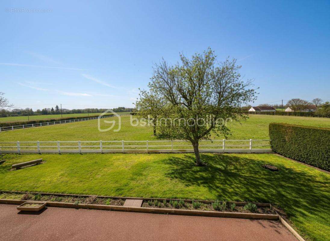 À Vendre – Propriété de 1,7 Hectare aux Portes du Perche - photo 3