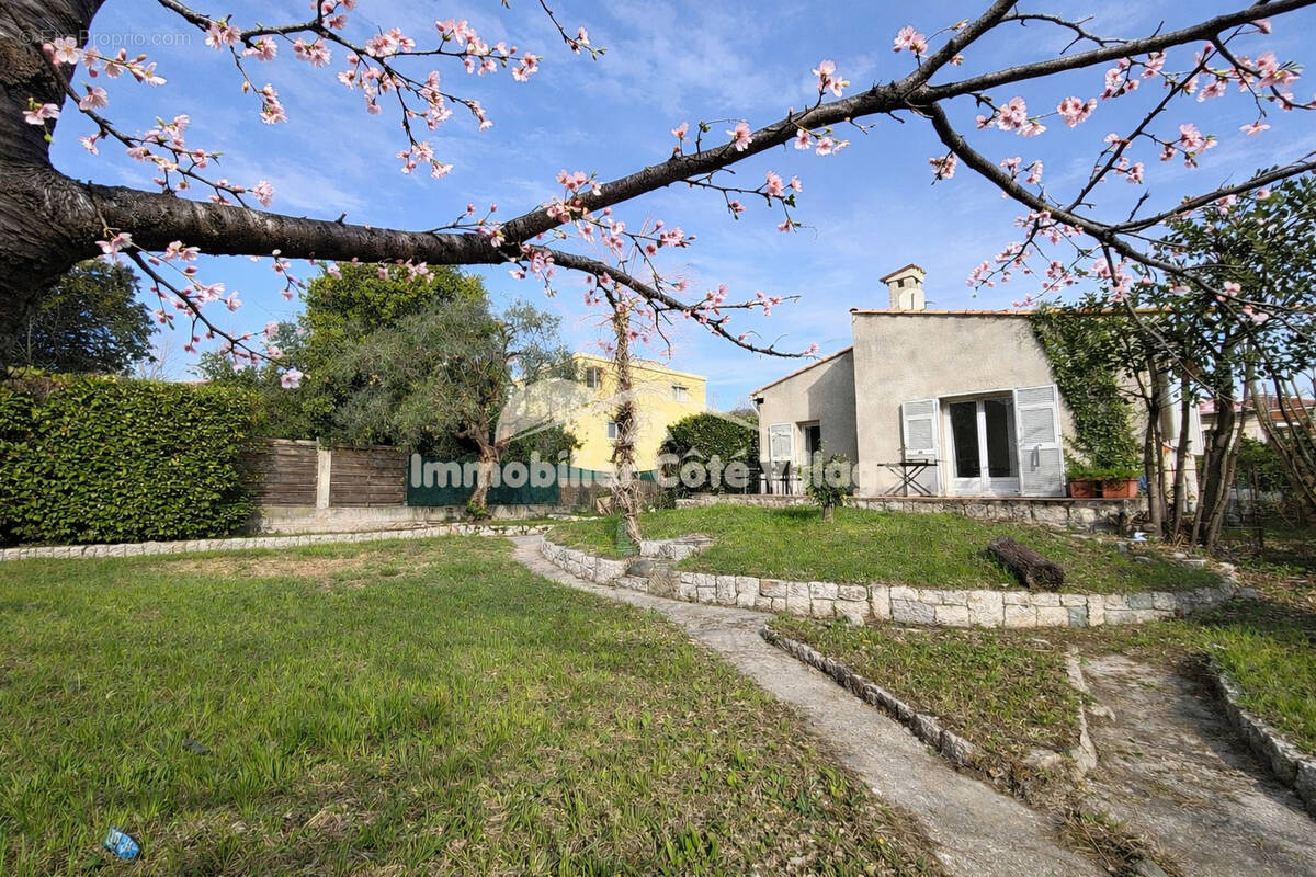 Maison à LA TRINITE