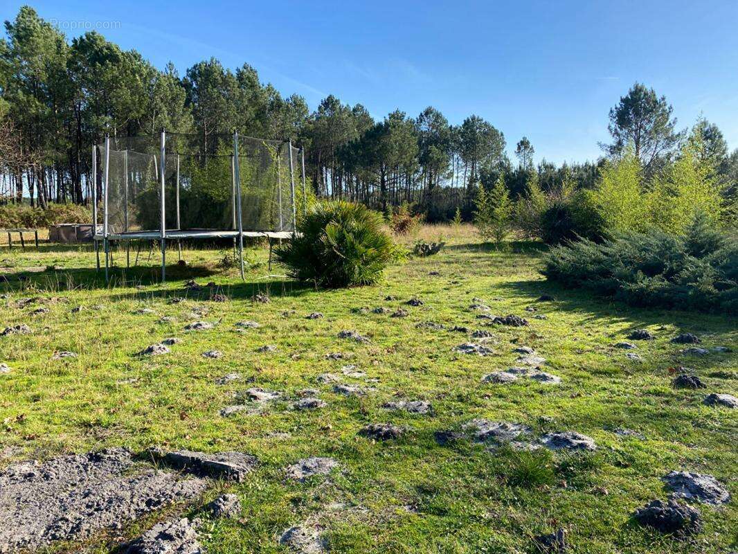 Maison à SAINT-JULIEN-EN-BORN