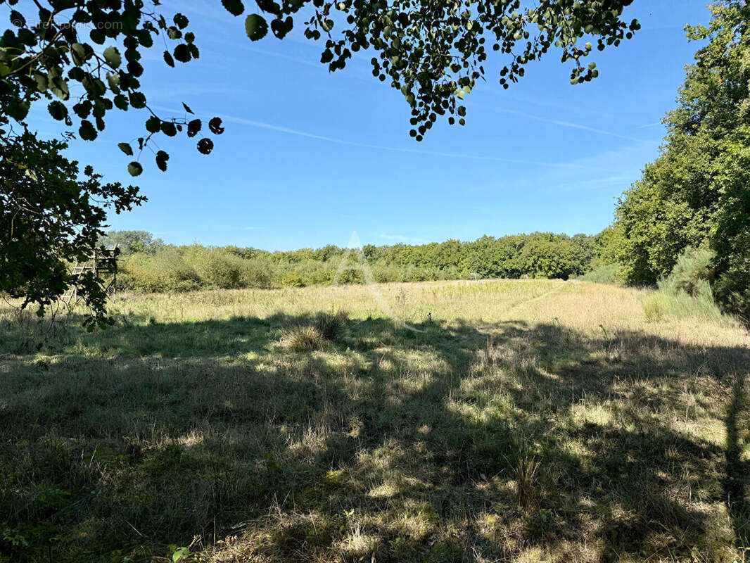 Terrain à LA FERTE-SAINT-AUBIN