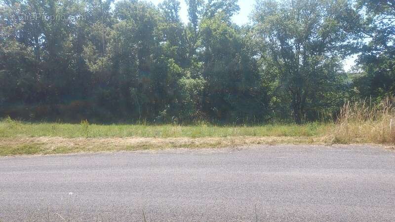 Terrain à vendre de 816,00 m² MASCLAT (46) - photo 3