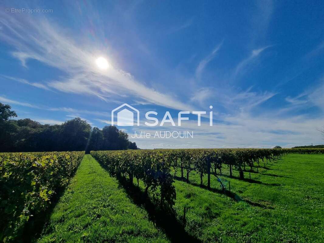 Photo 2 - Maison à VANZAC