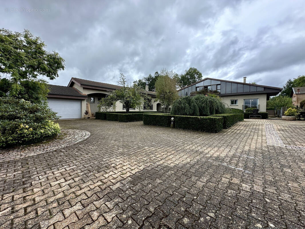 Maison 424 m² à Ambert  - photo 2