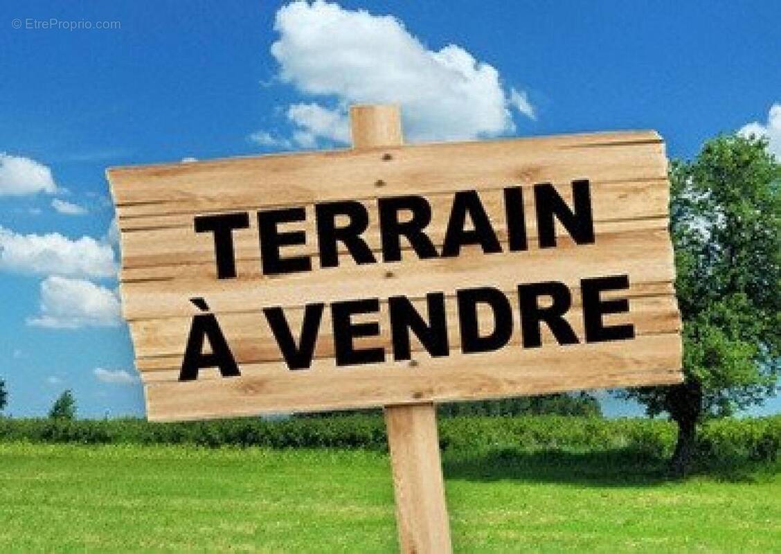 Photo 1 - Terrain à BLAGNAC