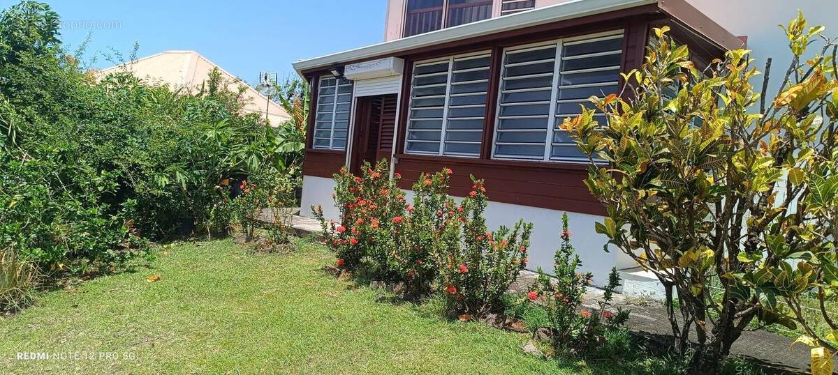 Photo 1 - Appartement à SAINTE-ANNE