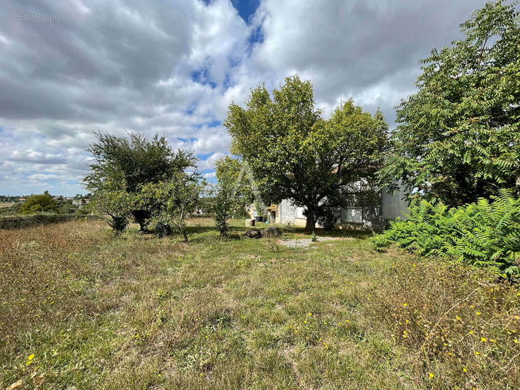 Maison à FONTENAY-LE-COMTE