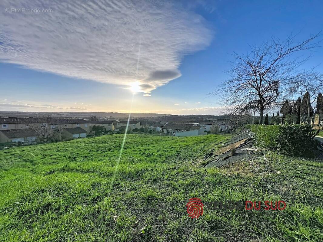 Terrain à MURVIEL-LES-BEZIERS