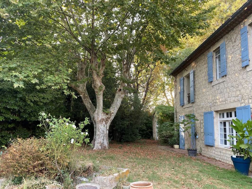 Mas Sur Beaucaire  - photo 4