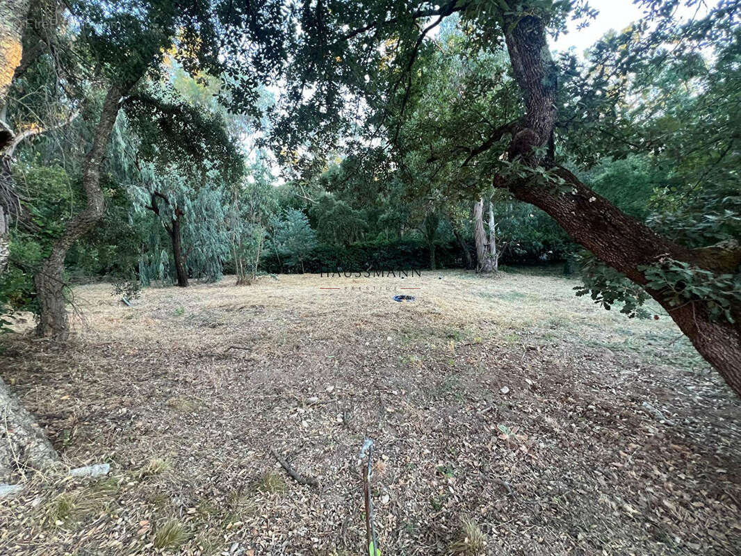 Terrain à GRIMAUD