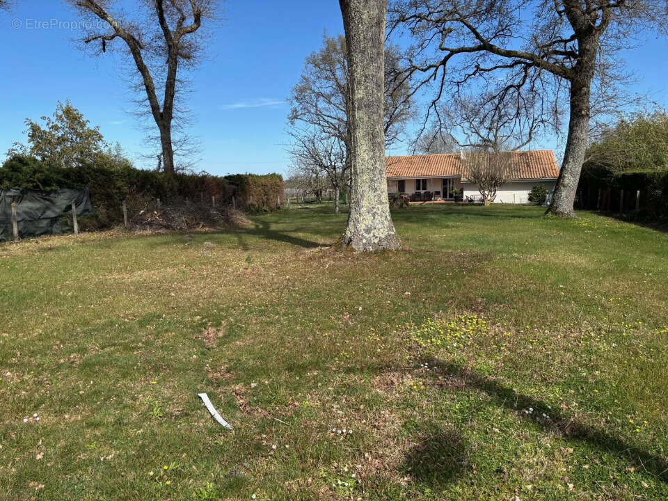 Terrain à SAINT-ESTEPHE