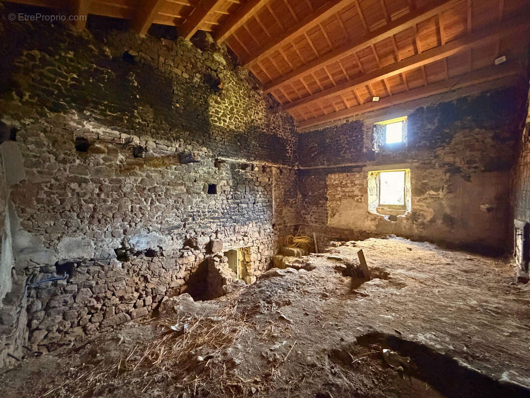 SAINT-PIERRE-SUR-DOUX   Ensemble immobilier avec maison rénovée, corps de ferme et 1,76 hectare de terrain - photo 15