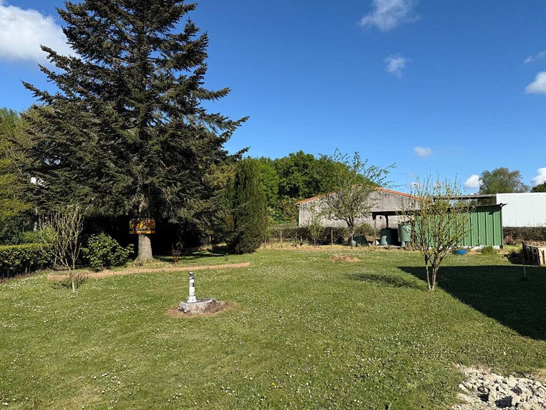 Terrain à SALLES-SUR-MER