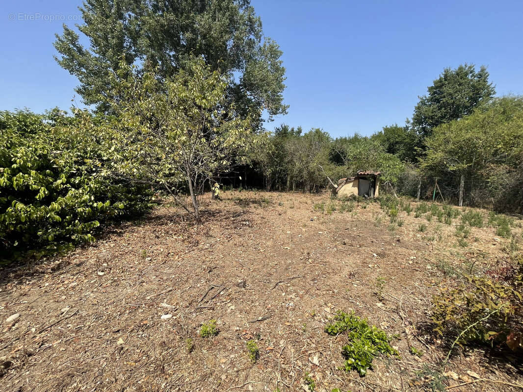 Maison à VILLENEUVE-TOLOSANE