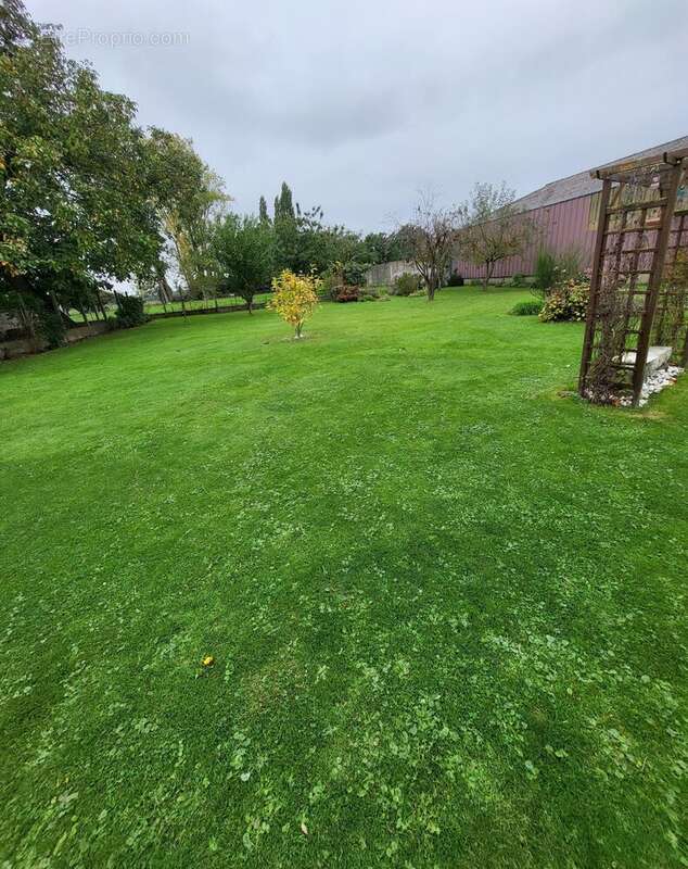 Photo 6 - Maison à NEUVILLETTE