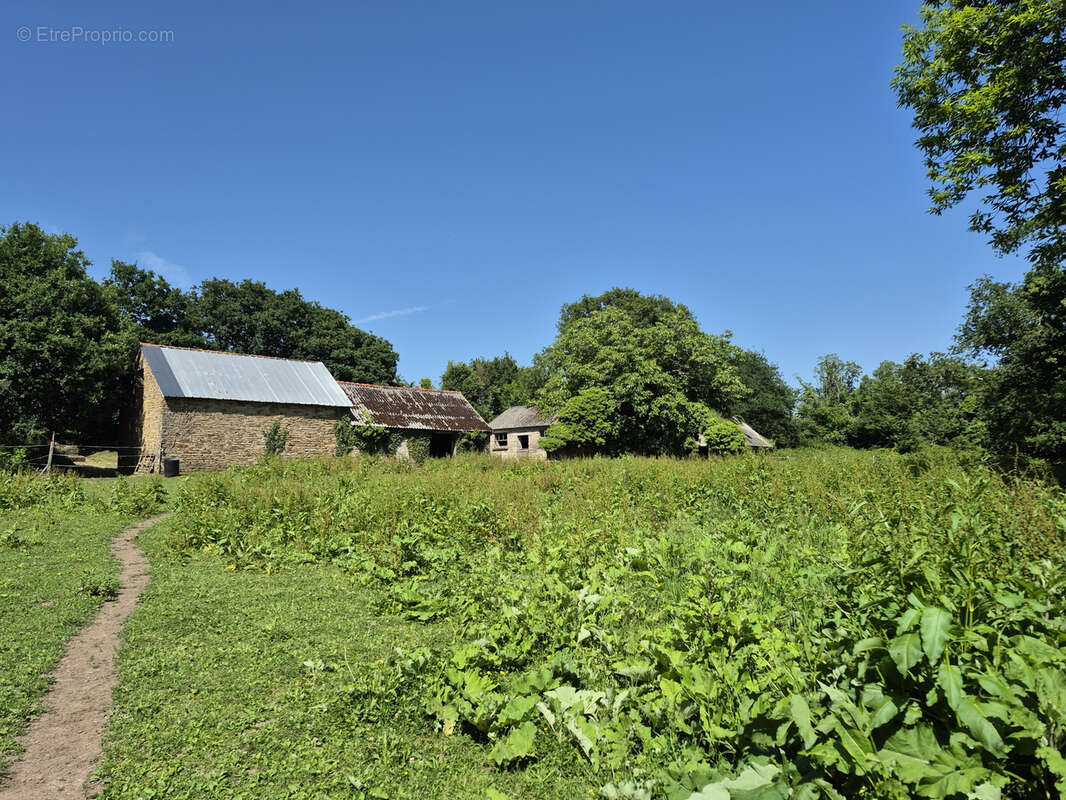Maison à LA FORET-FOUESNANT