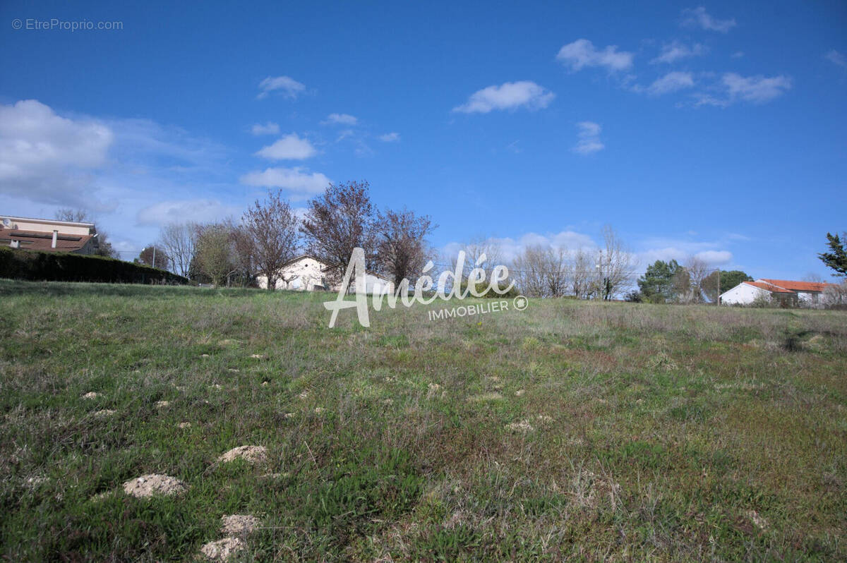 Terrain à MONTAUBAN
