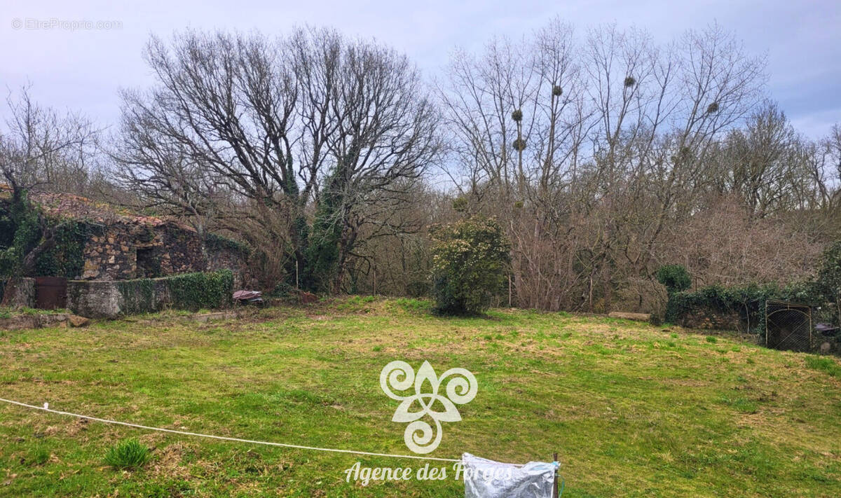 Terrain à LA BOISSIERE-DE-MONTAIGU