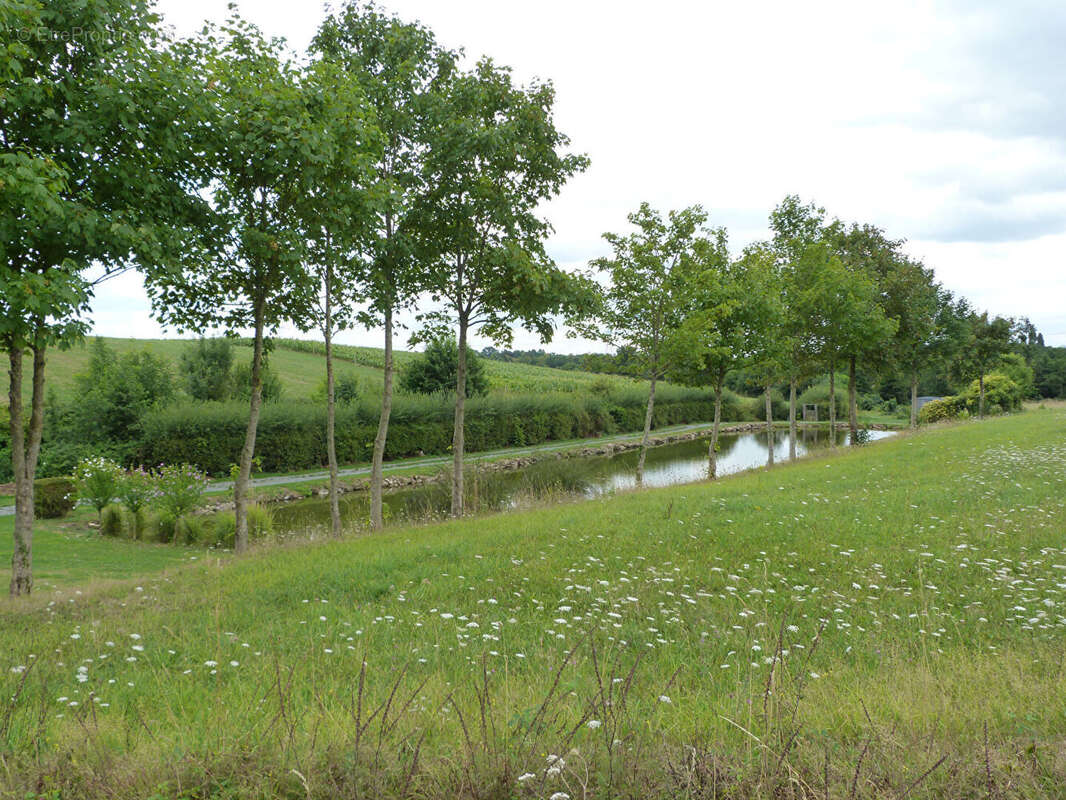 Terrain à LE PERTRE