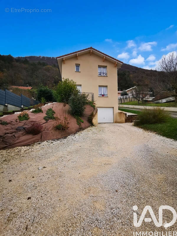 Photo 8 - Maison à SAINT-GEORGES-DE-COMMIERS