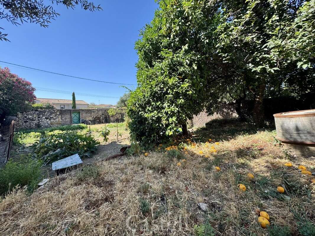 *** terrain constructible 370 m² à pomérols  terrain piscinable avec puits au cur du village *** - photo 5