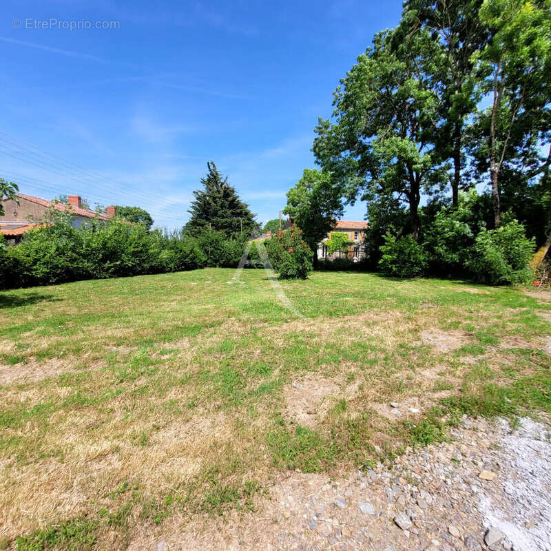 Terrain à LE CHAMP-SAINT-PERE