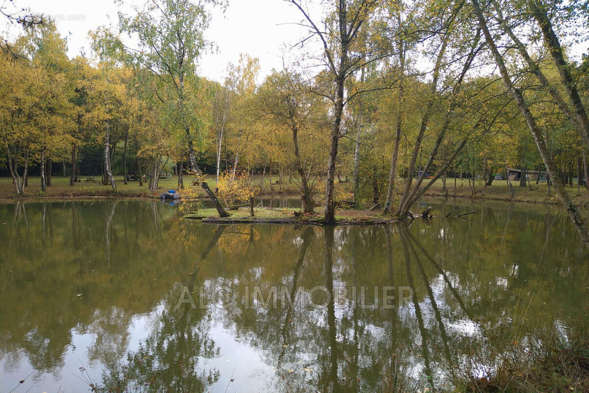 Terrain à SAINT-LEONARD-DES-BOIS
