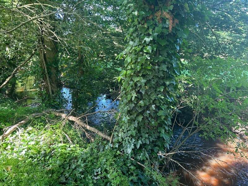 Maison à LUSSAC-LES-EGLISES
