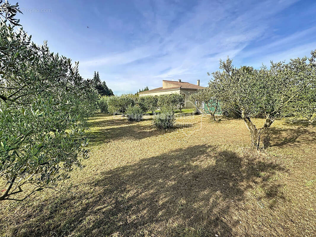 Maison à CHEVAL-BLANC