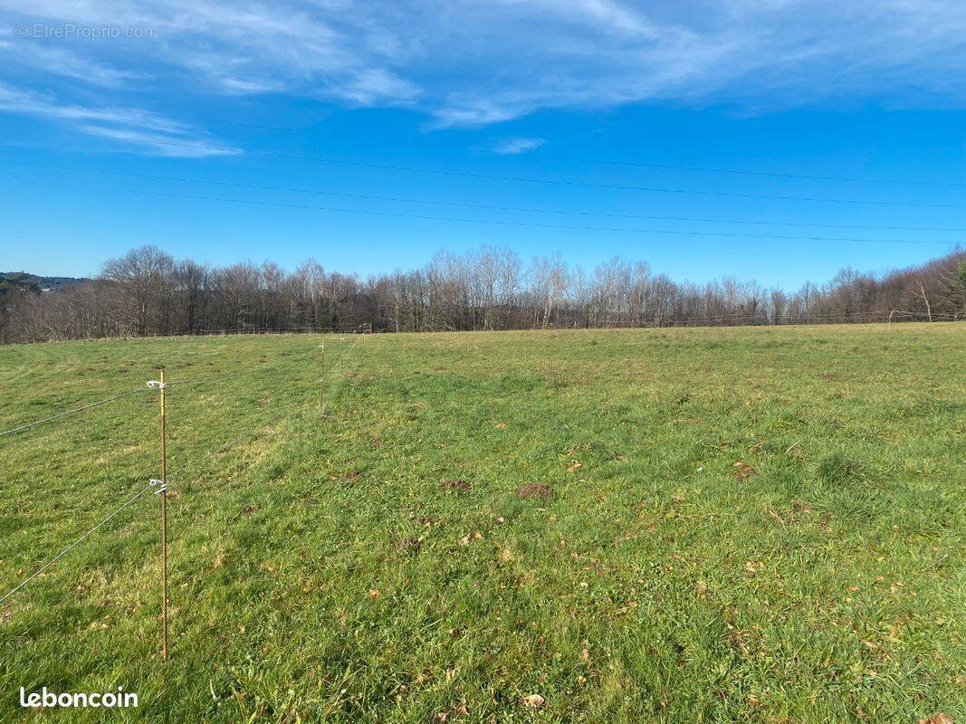 Terrain à BRIVE-LA-GAILLARDE