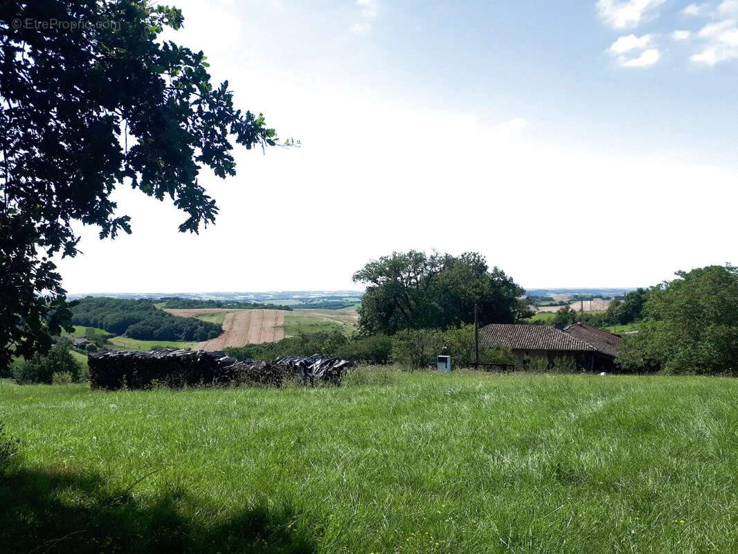 Maison à SAUVETERRE