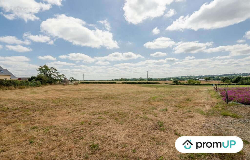 Terrain à SION-LES-MINES