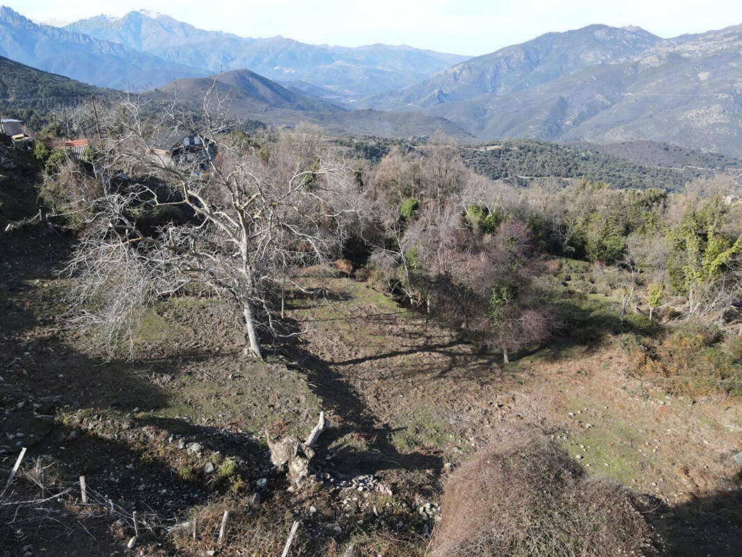 Terrain à VALLE-DI-ROSTINO