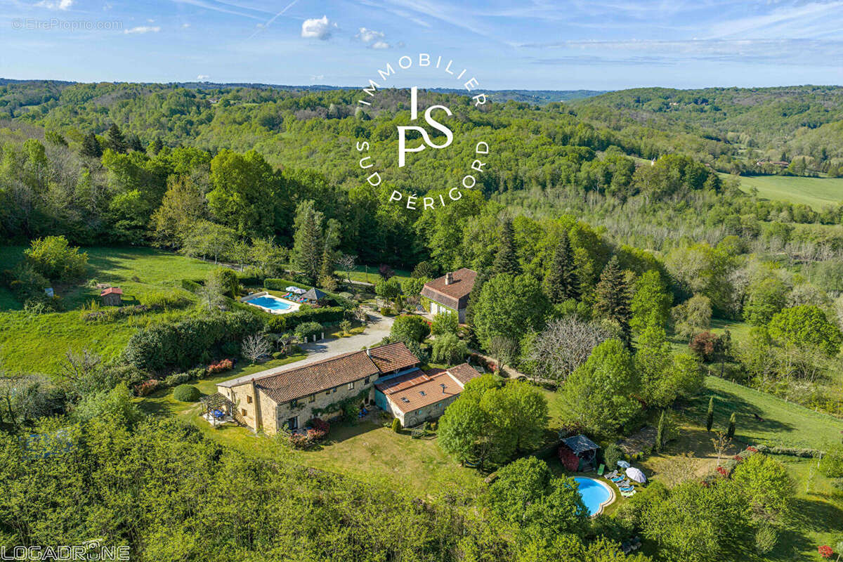 Manoir avec 3 Gîtes et 2 piscines, Villefranche du Perigord - photo 3