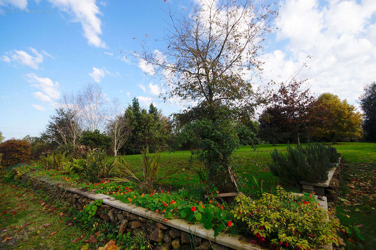 Maison à SAINT-SAMSON-DE-BONFOSSE