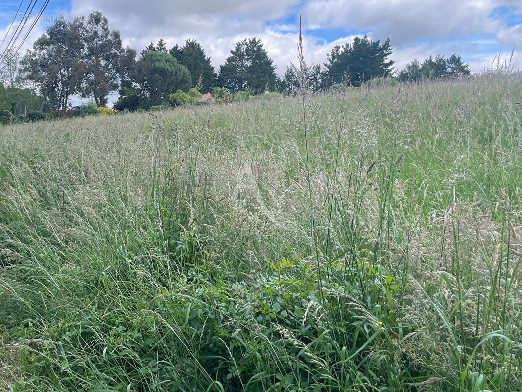 Terrain à bâtir 367 m² Moutiers-les-Mauxfaits - photo 2