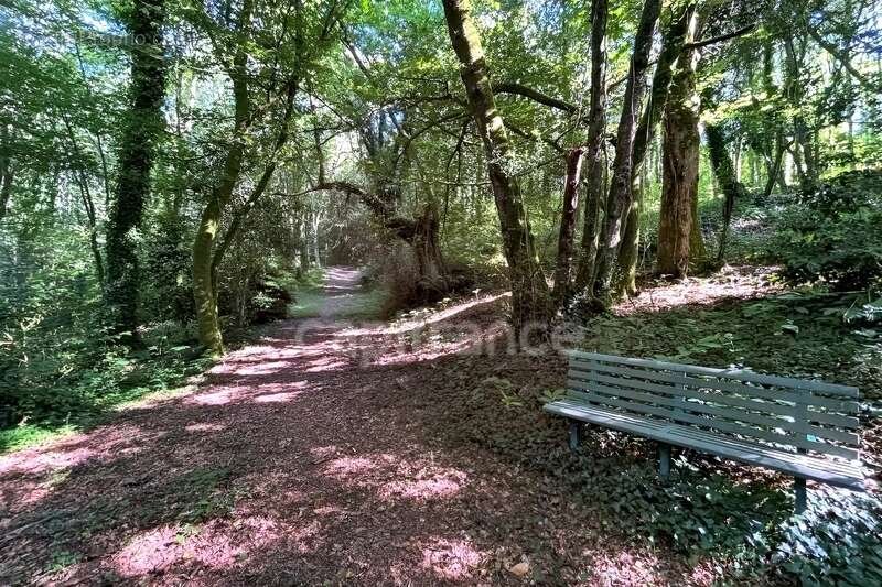 Terrain en zone naturelle et forestière boisé et fleuri de 4 880,00 m² proche de QUIMPER (29) - photo 2