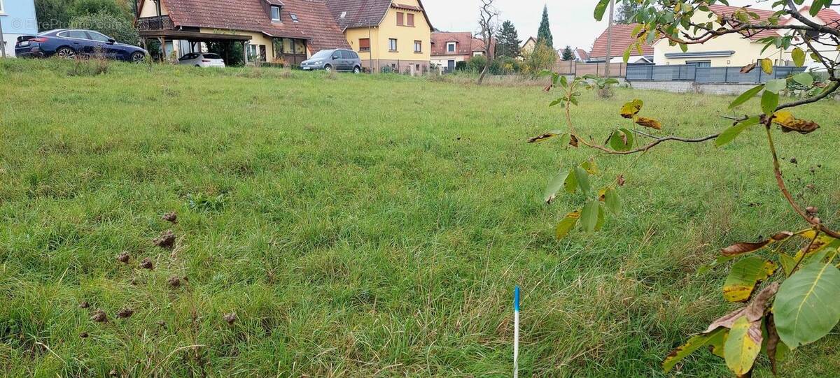 Photo 1 - Terrain à WESTHOFFEN