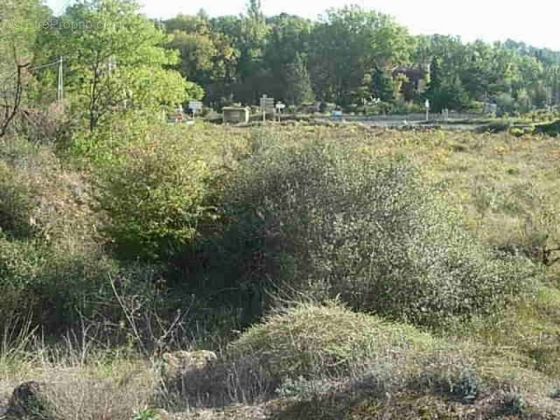 Terrain à CLERMONT-L&#039;HERAULT