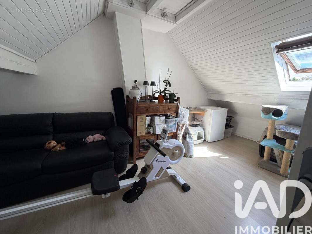 Photo 8