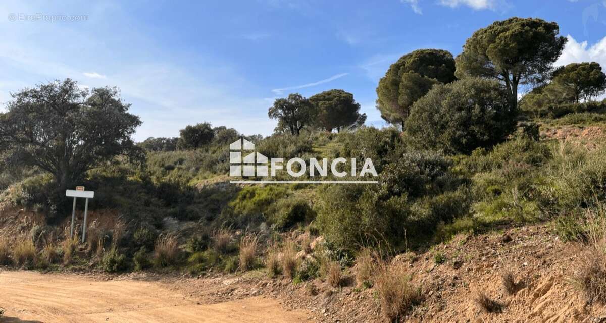 Terrain à LA LONDE-LES-MAURES